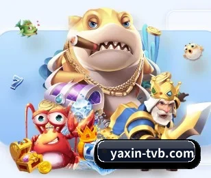赛程时间线视图,按开赛顺序纵向排列
