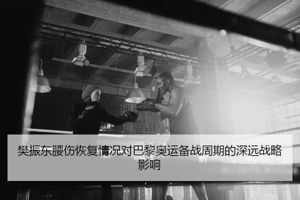 樊振东腰伤恢复情况对巴黎奥运备战周期的深远战略影响